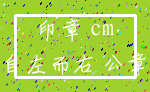 印章 cm_自左而右 公章