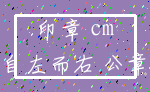 印章 cm_自左而右 公章