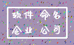 软件 命名_企业 公司