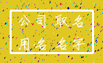 公司 取名_用名 名字