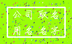 公司 取名_用名 名字