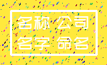 名称 公司_名字 命名
