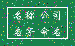 名称 公司_名字 命名