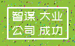 智谋 大业_公司 成功