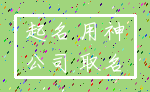 起名 用神_公司 取名