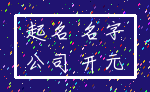 起名 名字_公司 开元