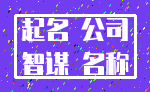 起名 公司_智谋 名称