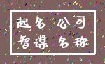 起名 公司_智谋 名称