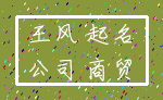 王风 起名_公司 商贸