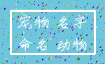 宠物 名字_命名 动物
