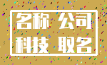 名称 公司_科技 取名