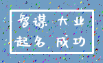 智谋 大业_起名 成功
