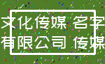 文化传媒 名字_有限公司 传媒