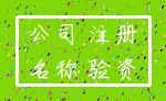 公司 注册_名称 验资