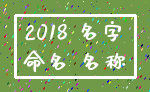 2018 名字_命名 名称