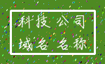 科技 公司_域名 名称