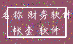 名称 财务软件_帐套 软件