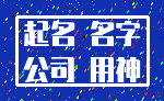 起名 名字_公司 用神