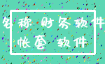名称 财务软件_帐套 软件
