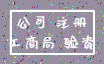 公司 注册_工商局 验资
