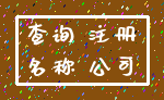 查询 注册_名称 公司