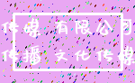 传媒 有限公司_传播 文化传媒