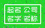 起名 公司_名字 名称