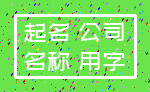 起名 公司_名称 用字
