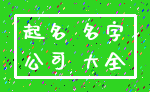 起名 名字_公司 大全