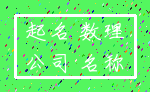 起名 数理_公司 名称