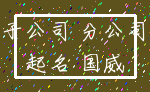 子公司 分公司_起名 国威