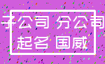 子公司 分公司_起名 国威