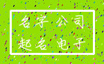 名字 公司_起名 电子