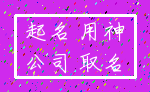 起名 用神_公司 取名